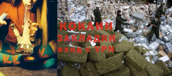 винт Дмитриев